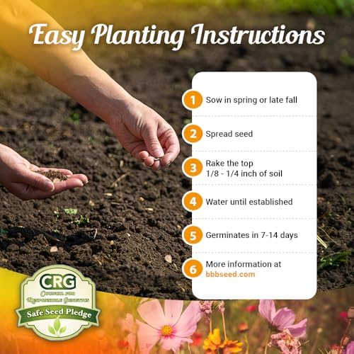BBB Seed Drought Tolerant Wildflower Seeds Mix, Annual & Perennial, 4 oz - Image 3