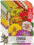 Seed Needs Cut Flower Seeds to Plant Crazy Zinnia Blend - 5 Packs by SeedNeeds
