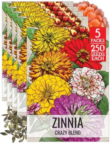 Seed Needs Cut Flower Seeds to Plant Crazy Zinnia Blend - 5 Packs by SeedNeeds