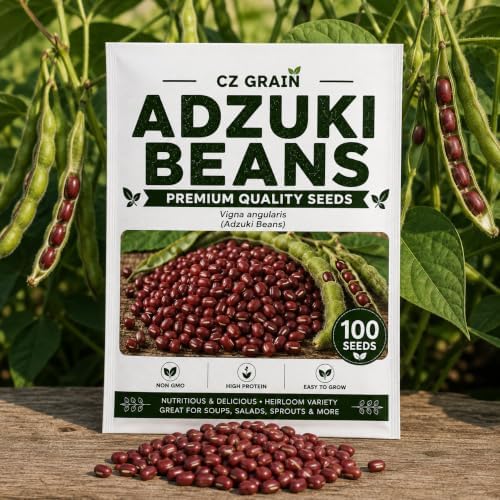 100 Adzuki Bean Seeds | Vigna Angularis Edible Bean Seeds for Planting by CZGrain