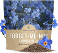 Chinese Forget Me Not Wildflower Seeds - Bulk 1 Ounce Packet - Over 5,500 Open Pollinated Seeds - Blue Cynoglossum amabile by SweetYards