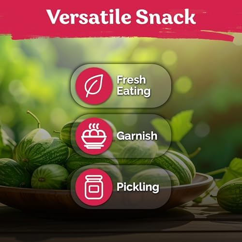75 Cucamelon Heirloom Vegetable Seeds for Planting, Melothria Scabra - Image 6