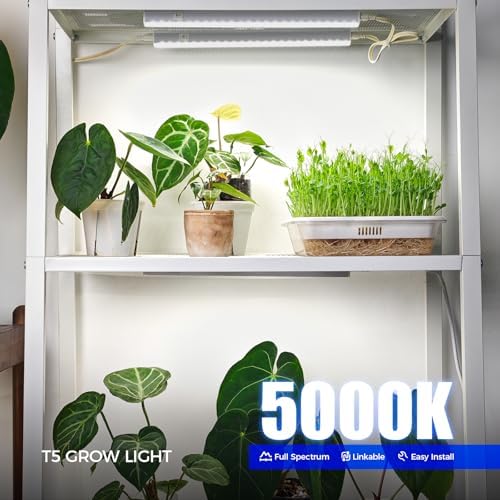 Barrina T5 Grow Lights for Indoor Plants, 5000K Full Spectrum, 1FT, 4 Packs - Image 2