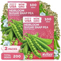 200 Sugar Snap Peas Heirloom Vegetable Seeds for Planting, Pisum Sativum by KVITER