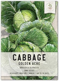 Seed Needs Golden Acre Cabbage Seeds to Plant Heirloom & Non-GMO 1 Pack by SeedNeeds