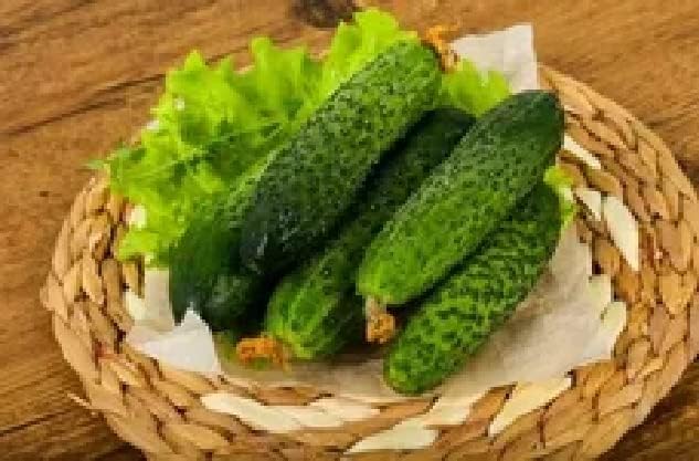 Seeds Self-Pollinated Cucumber Market/Indoor / 38 Days/Non GMO/Hybrid - Image 5