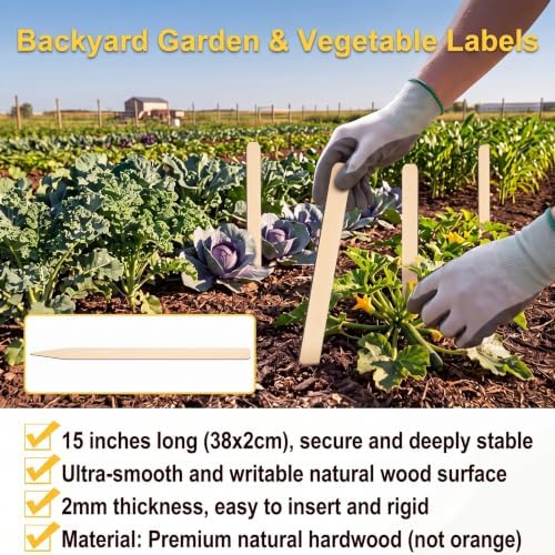 Weysat 100 Pcs 15" Wood Plant Labels for Field or Containers Plant Tags Wood Garden Labels for Seedling Stakes Markers Nursery Seed Tags with Smooth Surface for Pot Herbs Flowers Vegetables - Image 3