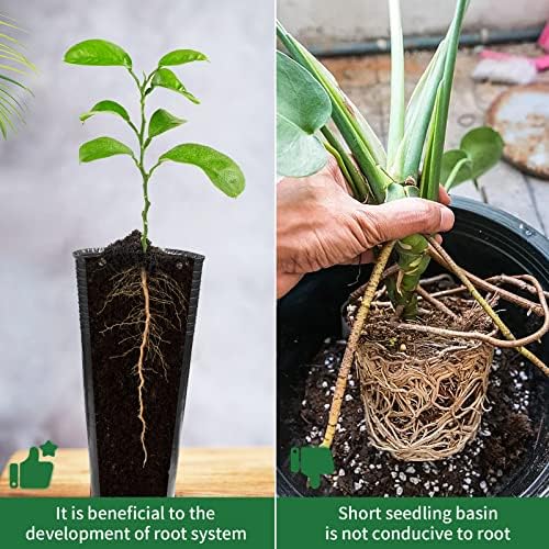 20 Pcs Plastic Deep Nursery Pots, 9.8" Round Tall Tree Pots - Image 5