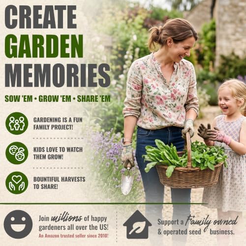 Seed Needs Culantro Seeds to Plant an Herb Garden - 5 Packs - Image 6