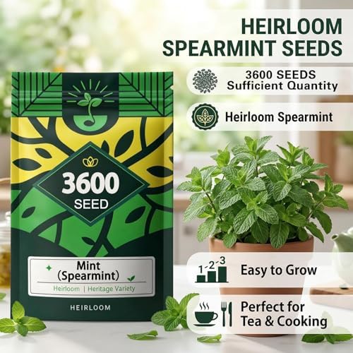 Mint Seeds for Planting, Heirloom Fragrant Culinary Herb Garden Seeds - Image 2