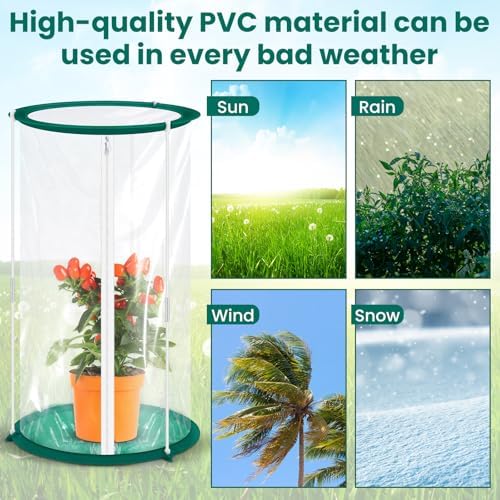 Nuanchu 2 Pieces Mini Greenhouse 19.7 x 10.2 Inch Portable Plant Flowers Mini Cover PVC Clear Greenhouse for Indoor Outdoor Gardening - Image 6