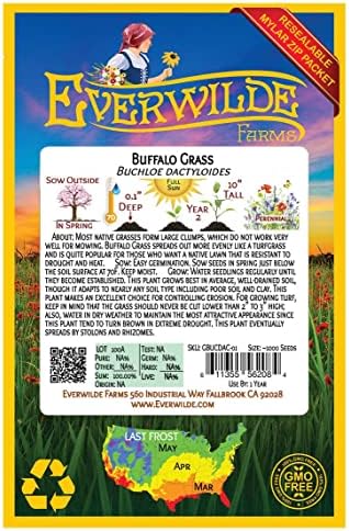 100 Buffalo Grass Native Grass Seeds - Gold Vault Jumbo Seed Packet - Image 2