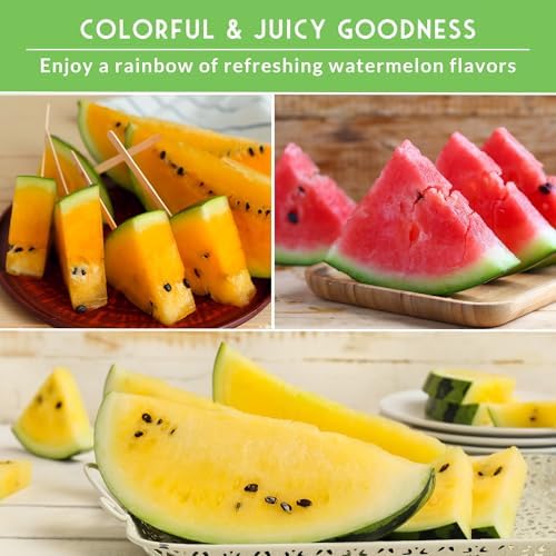 Tri-Color Watermelon Seeds for Planting - Heirloom Variety Pack - Image 5