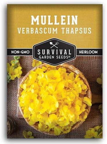 Mullein Seeds for Planting, Verbascum Thapsus - 1 Pack by SurvivalGardenSeeds