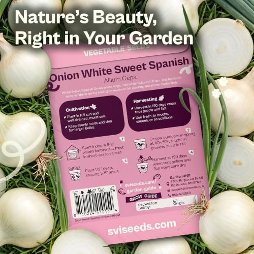 SVI 650 White Sweet Spanish Onion Heirloom Vegetable Seeds Allium cepa - Image 2