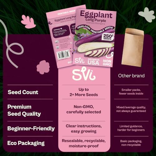 SVI 250 Long Purple Eggplant Heirloom Vegetable Seeds, Solanum melongena - Image 6