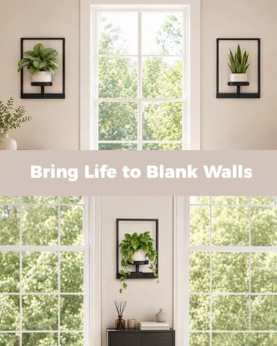 Bamworld Hanging Planters for Indoor Plants Wall Decor Living Room - Image 4