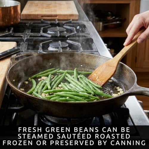 100 Premium Non-GMO Seed Collection, Green Beans - Image 3