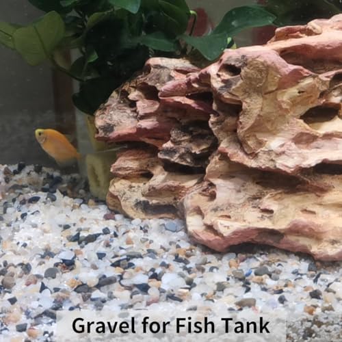 FANTIAN 2 lbs Pebbles for Indoor Plants, 3/8 inch Pea Gravel, Mixed Color - Image 6