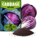 Red Acre Cabbage Seeds for Planting - Heirloom Non-GMO by Unknown