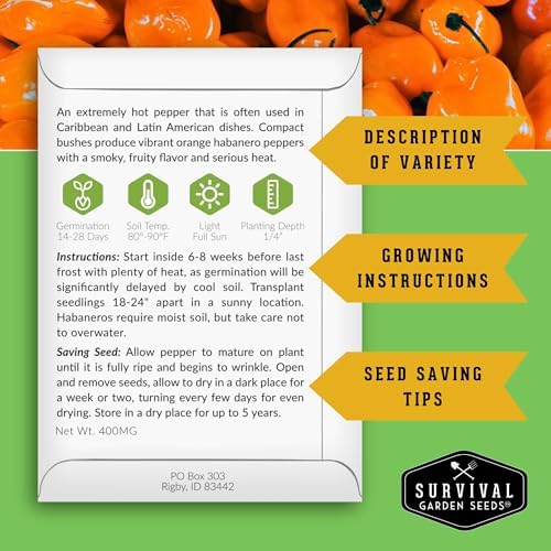 Orange Habanero Seeds for Planting – Survival Garden Seeds (1 Pack) - Image 2