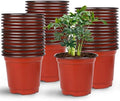 Augshy Nursery Pot, 75 Pcs 4 Inches Plastic Nursery Seed Starting Pots by Augshy