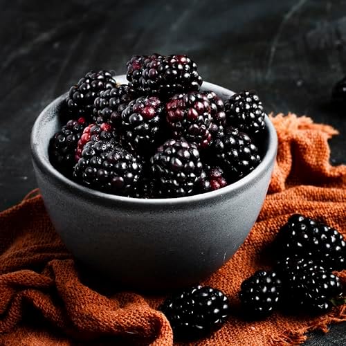 BlackBerry Plant Freedom-Ark (4 Pack) | Live Fruit Plant for Planting | Thornless & High-Yielding Variety | Large, Sweet & Juicy Berries | Perfect for Fresh Eating & Organic Gardens | Easy to Grow - Image 7