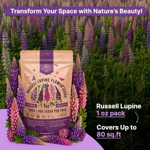 Russell Lupine Seeds 1oz Over 1,400 Non-GMO Heirloom Lupine Seeds for Planting, Prennial Flowers in Individual Packet, Planting Home Garden Indoor & Outdoor Gardening - Image 4