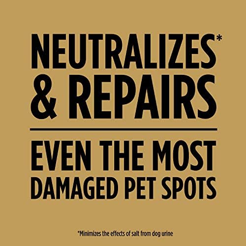 Scotts EZ Seed Dog Spot Repair Tall Fescue Lawns, 2 lbs. (Pack of 6) - Image 3