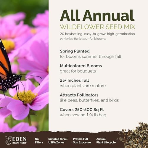 Eden Brothers All Annual Wildflower Mixed Seeds for Planting, 1/4 lb - Image 2