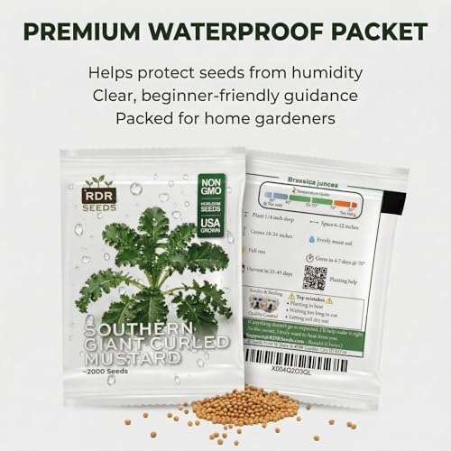 2000 Southern Giant Curled Mustard Seeds for Planting - 1935 AAS Winner, Cut-and-Come-Again Heirloom, Non-GMO, USA Grown by RDR Seeds - Image 7
