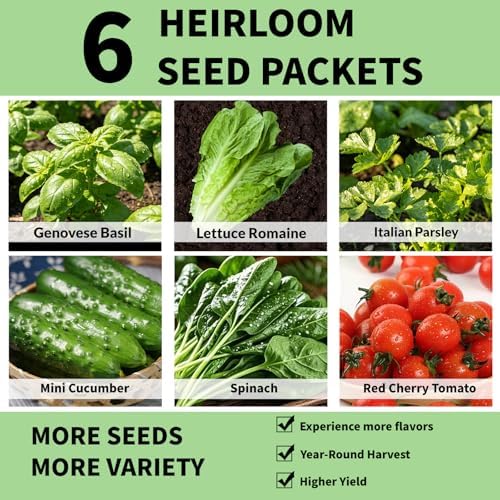Herb & Salad Seed Pods Kit Hydroponic - 12 Refill Grow Pods with 6-Packet Seeds of Basil, Cherry Tomato, Mini Cucumber, Lettuce, Spinach & Parsley, Compatible with All Hydroponics Growing Systems - Image 2
