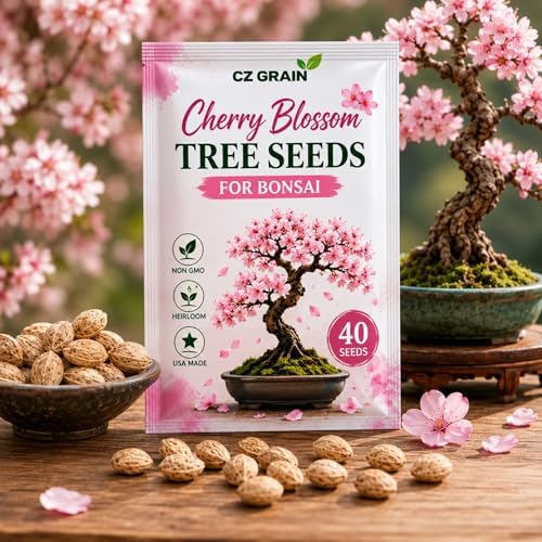 Cherry Blossom Tree Seeds for Planting (40 Seeds) - Great for Bonsai, Heirloom Sakura Flower Tree Seeds for Indoor & Outdoor Planting, Non GMO Bonsai Seed Kit for Home Garden Growing by CZGrain