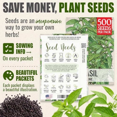 Seed Needs Lime Basil Seeds to Plant an Herb Garden - 2 Packs - Image 3