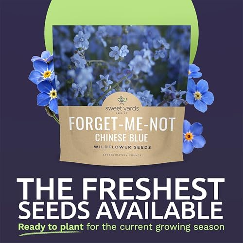 Chinese Forget Me Not Wildflower Seeds - Bulk 1 Ounce Packet - Over 5,500 Open Pollinated Seeds - Blue Cynoglossum amabile - Image 2