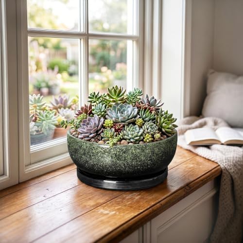 Bonsai Tree Pots, 8 Inch Ceramic Succulent Planter, Speckle Green - Image 4