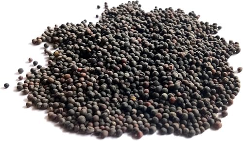 200+ White Russian Kale Seeds for Planting - Heirloom Non-GMO - Image 5