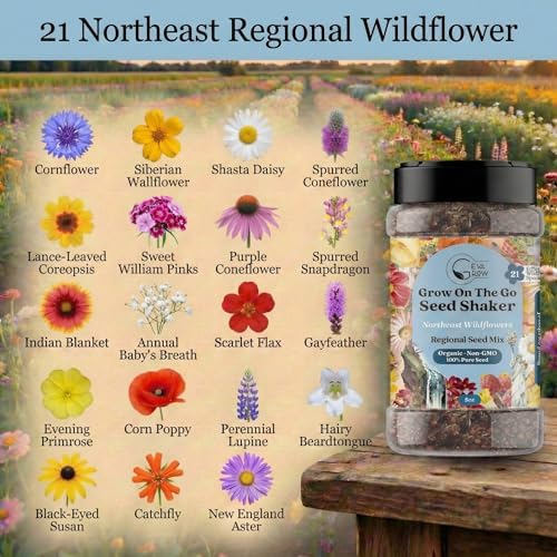 Wildflower Seed Shaker, Northeast USA, Annual & Perennial, 60K+ Seeds, 2 oz - Image 2