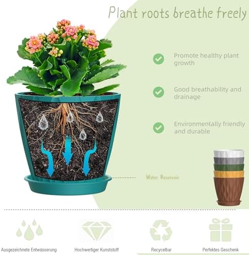 6 Inch Plant Pots, 6 Pack Indoor Flower Pots, Planters with Drainage Holes and Trays for Orchids, Violets, Succulents, Herbs, and Other Plants,Corolful - Image 4