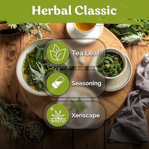 4,500 Mugwort Heirloom Herb Seeds for Planting, Artemisia Vulgaris - Image 6