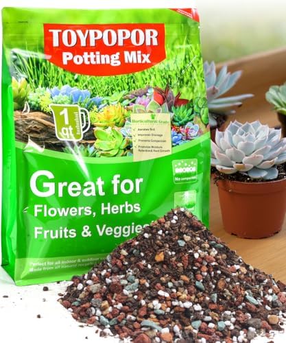 TOYPOPOR Succulent Soil, Cactus Potting Mix 2 Pounds/1 Quart, High Drainage, Pre-Mixed Ready to Use for All Succulent Varieties, Indoor Plants, Bonsai, Terrarium, Houseplant, 70% Particles 30% Soil by TOYPOPOR