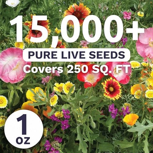 Southwest Regional Mix - Large 1 Ounce Packet - 15,000 Flower Seeds for Planting - Wildflower Mix - Image 2