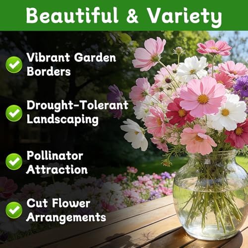 LUOJIBIE Cosmos Seeds, 4,500+ Cosmos Flower Seeds for 2026, Wildflower Seeds for Planting Outdoor Garden, Crazy Blend Mix Color, No Filler, 1.5 Oz Packet, Easy to Grow - Image 2