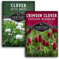 Clover Seeds 2 Variety Pack for Planting - Crimson & Dutch White by SurvivalGardenSeeds