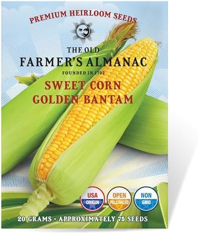 The Old Farmer's Almanac Heirloom Sweet Corn Seeds (Golden Bantam) - Approx 75 Seeds - Non-GMO, Open Pollinated, USA Origin by Unknown