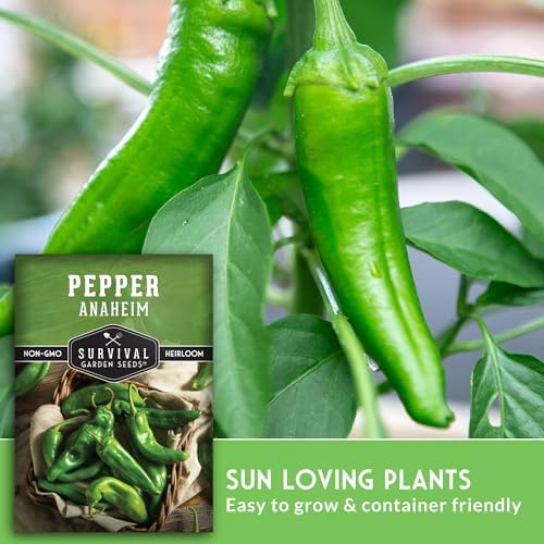Anaheim Chili Pepper Seeds for Planting - 3 Packs - Image 4