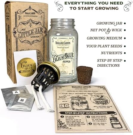 Filius Blue Pepper Indoor Garden Kit – Mason Jar Hydroponic Pepper Grow Kit – Windowsill Countertop Ornamental Pepper Plant – Grow Peppers Indoors - Image 2
