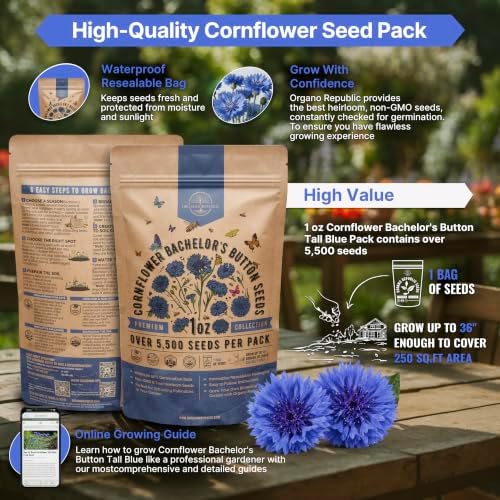 Cornflower Bachelor's Button Tall Blue Seeds for Planting - 1 oz Pack, Approx. 5,500 Centaurea Cyanus Seeds for Outdoor Gardens, Cut Flowers and Pollinator Habitats - Image 2
