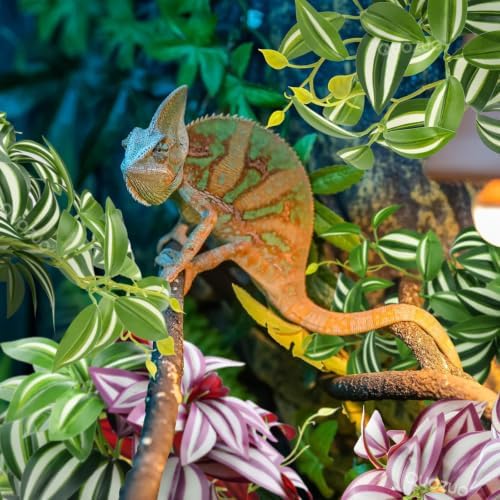 QUOZUO 2 Pack Reptile Plants, Artificial Hanging Plants with Suction Cups, Habitat Decor Plastic Vines Decorations for Bearded Dragons Lizards Snake Geckos Frogs -Purple and Green - Image 6