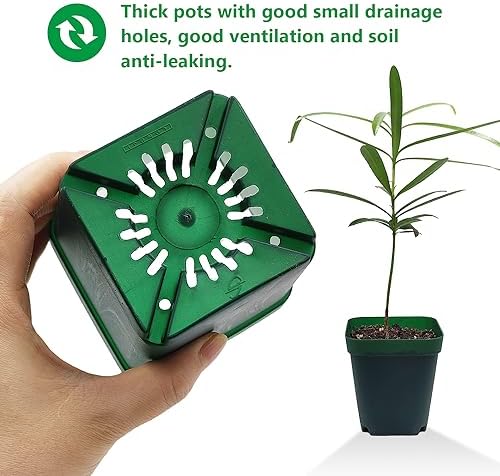 RooTrimmer Square Nursery Seedling Pot 3.5 Inches 90 Pcs, Small Nursery Pot Plastic Thick and Sturdy Seed Start Germination Pot for Plant Propagation and Seeding(Green,3.54 Inches, 90Pcs) - Image 5